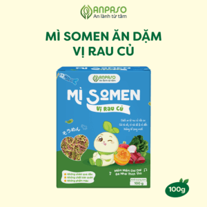 Mì somen vị rau củ Anpaso 100 g